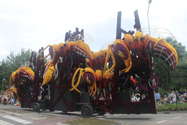 bloemencorso Lichtenvoorde