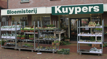 Kuypers bloemen